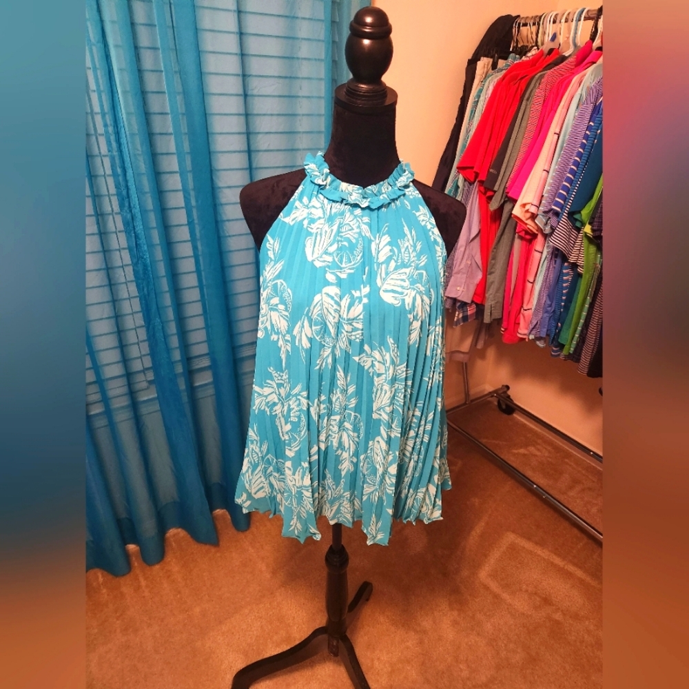 Crown & Ivy Top (size small)